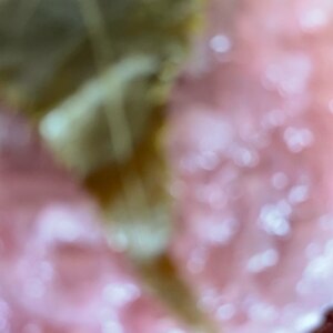 ひな祭りに！春の香りの桜餅（道明寺）